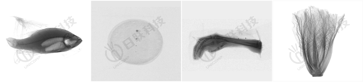 X-ray異物檢測圖-日聯